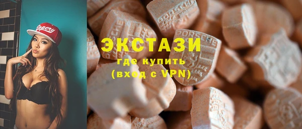 индика Каменка