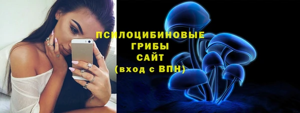 соль курить ск Каменногорск