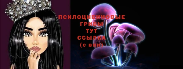 скорость Абаза