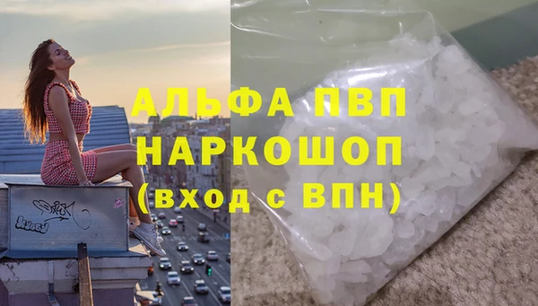 гашик Абинск