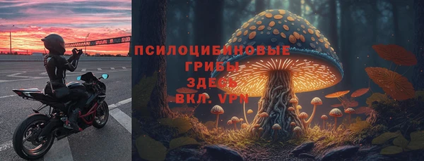 скорость Абаза