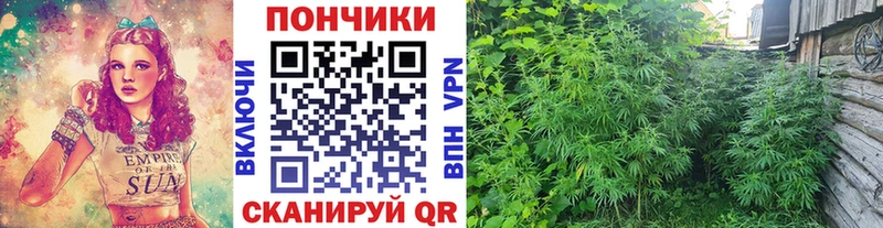 как найти наркотики Барнаул Конопля Bruce Banner